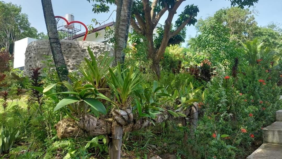 Matteo'S Hus Villa Rental Zamboanguita  Zewnętrze zdjęcie